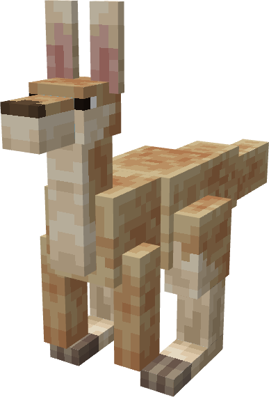 Canguro